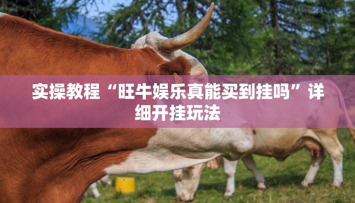 实操教程“旺牛娱乐真能买到挂吗”详细开挂玩法 实操教程“旺牛娱乐真能买到挂吗”详细开挂玩法