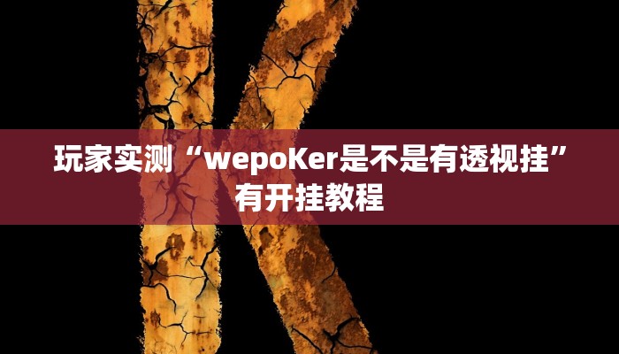 玩家实测“wepoKer是不是有透视挂”有开挂教程