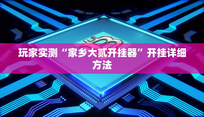 玩家实测“家乡大贰开挂器”开挂详细方法