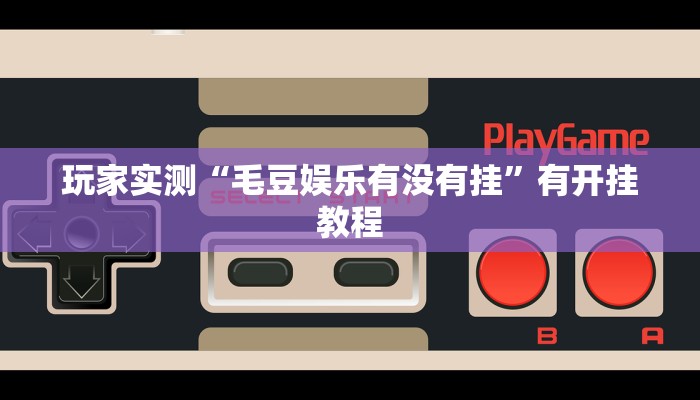 玩家实测“毛豆娱乐有没有挂”有开挂教程