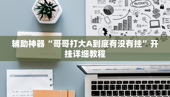 辅助神器“哥哥打大A到底有没有挂”开挂详细教程