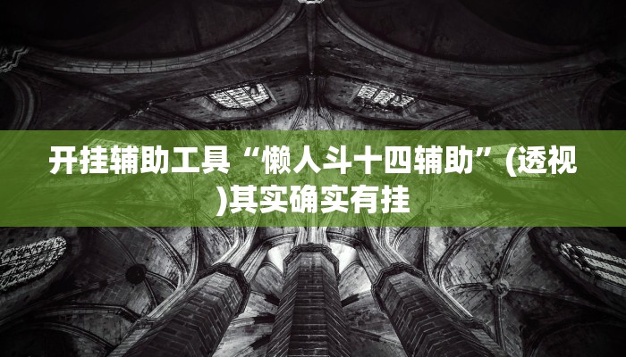 开挂辅助工具“懒人斗十四辅助”(透视)其实确实有挂