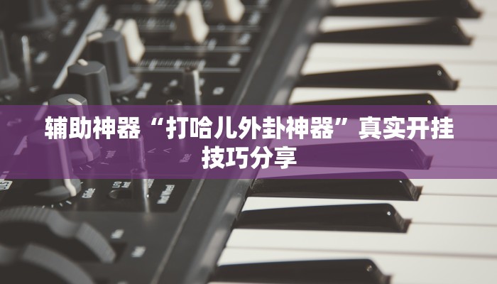 辅助神器“打哈儿外卦神器”真实开挂技巧分享