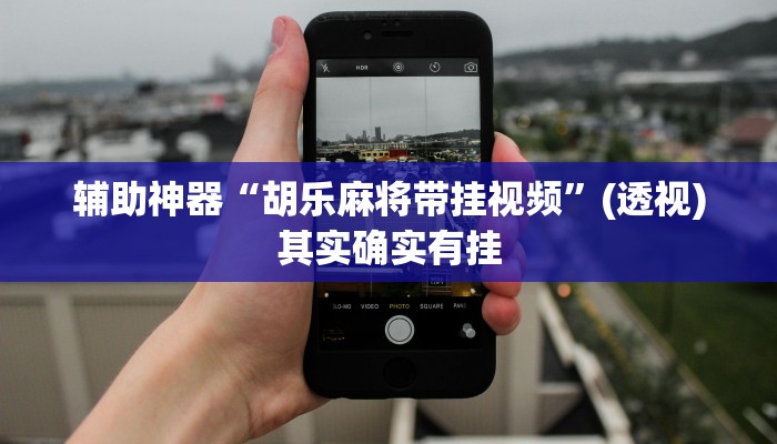 辅助神器“胡乐麻将带挂视频”(透视)其实确实有挂