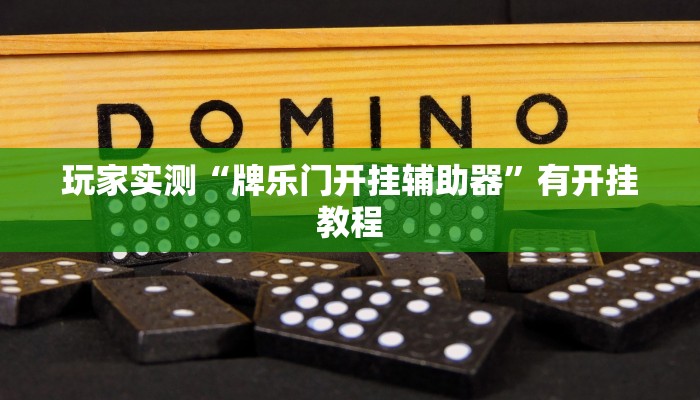 玩家实测“牌乐门开挂辅助器”有开挂教程