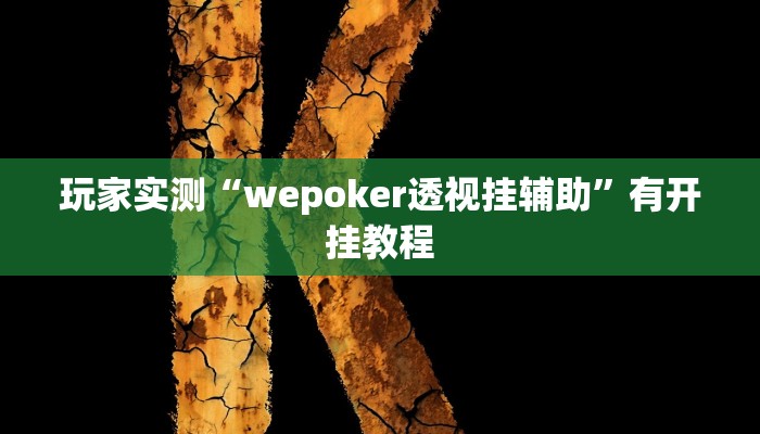 玩家实测“wepoker透视挂辅助”有开挂教程
