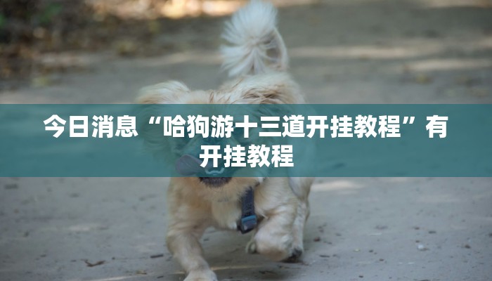 今日消息“哈狗游十三道开挂教程”有开挂教程