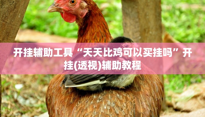 开挂辅助工具“天天比鸡可以买挂吗”开挂(透视)辅助教程