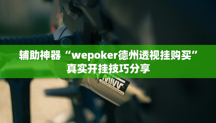 辅助神器“wepoker德州透视挂购买”真实开挂技巧分享