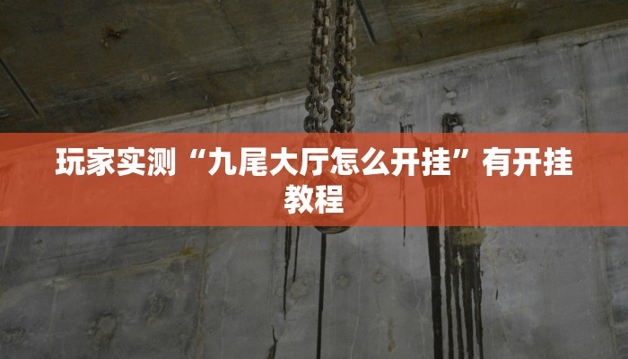 玩家实测“九尾大厅怎么开挂”有开挂教程