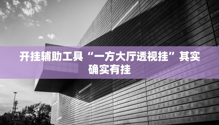 开挂辅助工具“一方大厅透视挂”其实确实有挂