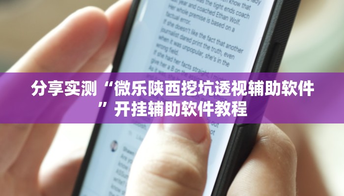 分享实测“微乐陕西挖坑透视辅助软件”开挂辅助软件教程