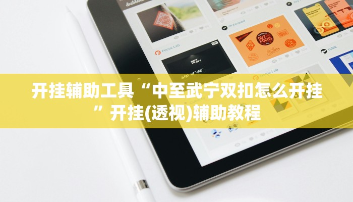 开挂辅助工具“中至武宁双扣怎么开挂”开挂(透视)辅助教程