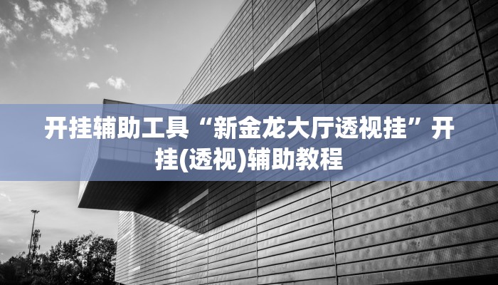 开挂辅助工具“新金龙大厅透视挂”开挂(透视)辅助教程