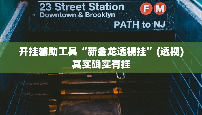 开挂辅助工具“新金龙透视挂”(透视)其实确实有挂 开挂辅助工具“新金龙透视挂”(透视)其实确实有挂