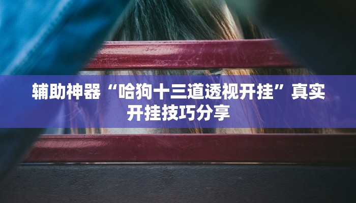 辅助神器“哈狗十三道透视开挂”真实开挂技巧分享 辅助神器“哈狗十三道透视开挂”真实开挂技巧分享