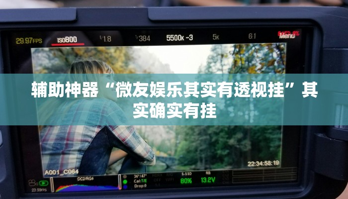 辅助神器“微友娱乐其实有透视挂”其实确实有挂