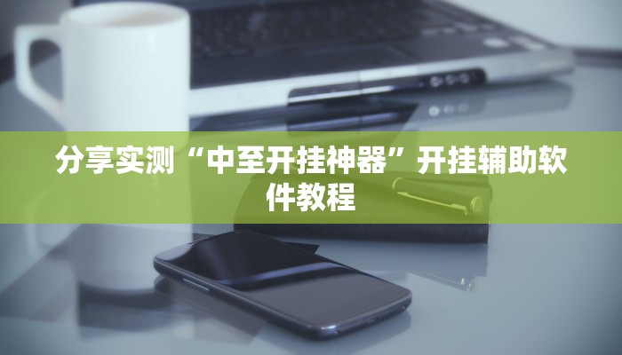 分享实测“中至开挂神器”开挂辅助软件教程