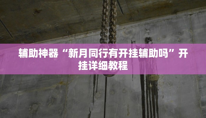 辅助神器“新月同行有开挂辅助吗”开挂详细教程