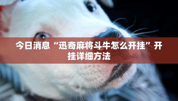 今日消息“迅奇麻将斗牛怎么开挂”开挂详细方法 今日消息“迅奇麻将斗牛怎么开挂”开挂详细方法