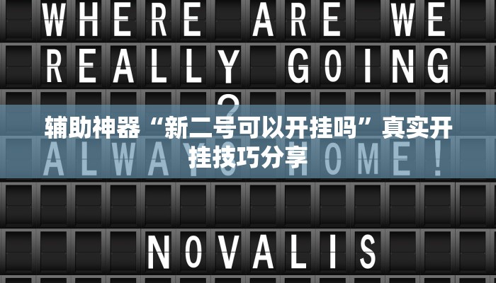 辅助神器“新二号可以开挂吗”真实开挂技巧分享
