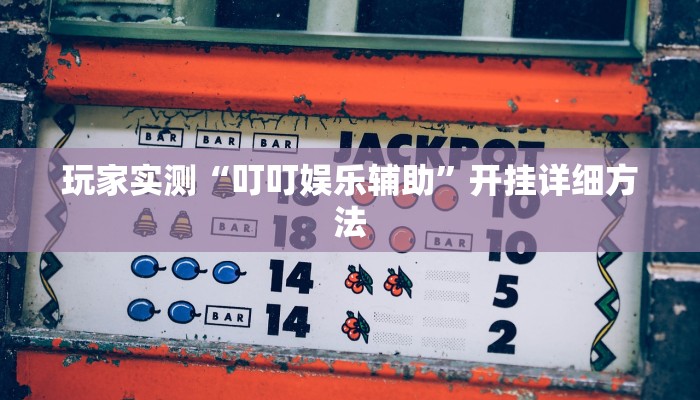 玩家实测“叮叮娱乐辅助”开挂详细方法 玩家实测“叮叮娱乐辅助”开挂详细方法