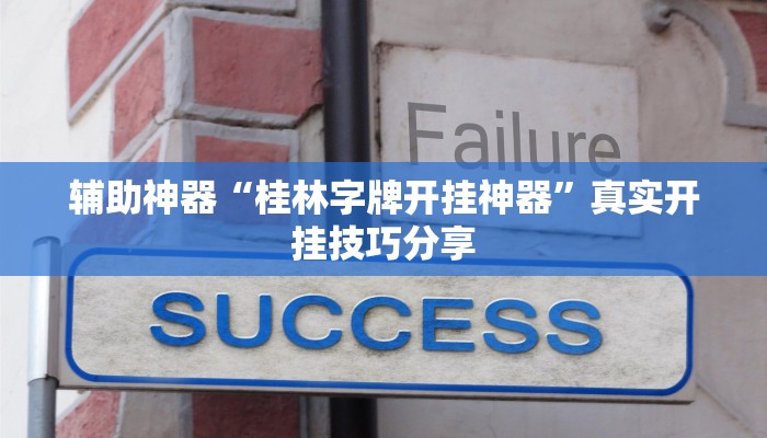 辅助神器“桂林字牌开挂神器”真实开挂技巧分享