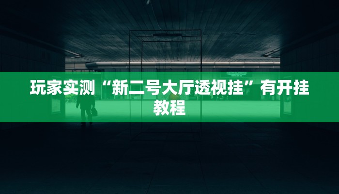 玩家实测“新二号大厅透视挂”有开挂教程 玩家实测“新二号大厅透视挂”有开挂教程