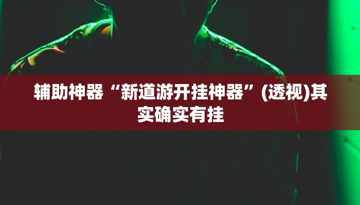 辅助神器“新道游开挂神器”(透视)其实确实有挂
