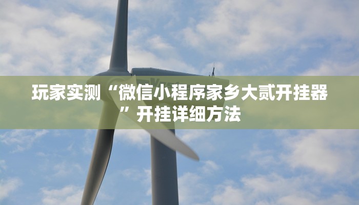 玩家实测“微信小程序家乡大贰开挂器”开挂详细方法 玩家实测“微信小程序家乡大贰开挂器”开挂详细方法