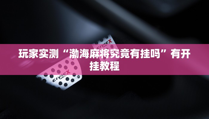 玩家实测“渤海麻将究竟有挂吗”有开挂教程