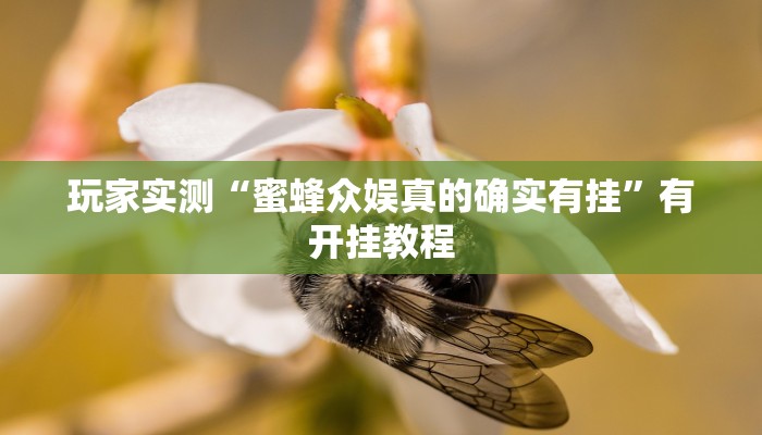 玩家实测“蜜蜂众娱真的确实有挂”有开挂教程