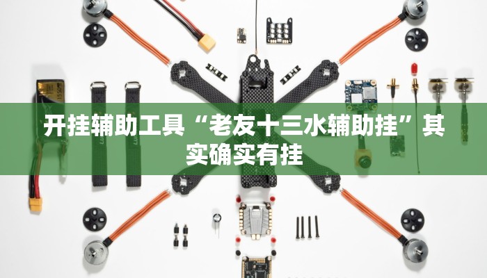 开挂辅助工具“老友十三水辅助挂”其实确实有挂