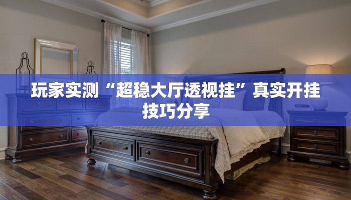 玩家实测“超稳大厅透视挂”真实开挂技巧分享