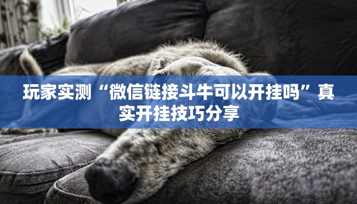 玩家实测“微信链接斗牛可以开挂吗”真实开挂技巧分享