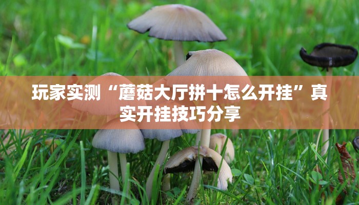 玩家实测“蘑菇大厅拼十怎么开挂”真实开挂技巧分享