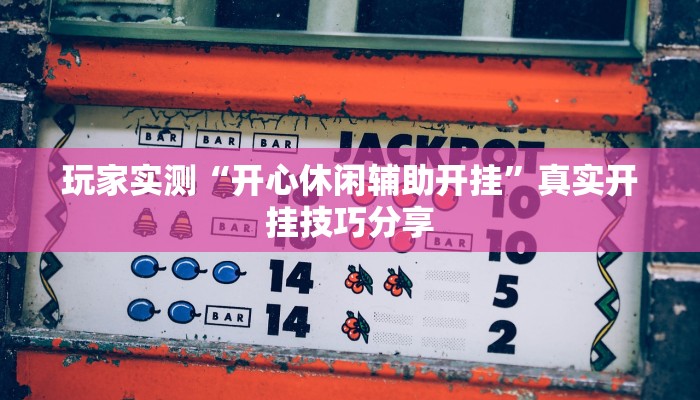 玩家实测“开心休闲辅助开挂”真实开挂技巧分享