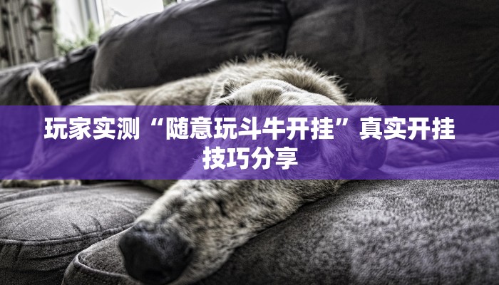 玩家实测“随意玩斗牛开挂”真实开挂技巧分享 玩家实测“随意玩斗牛开挂”真实开挂技巧分享