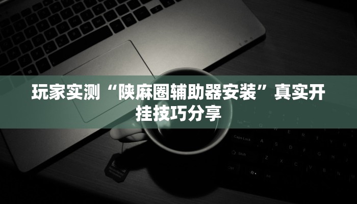 玩家实测“陕麻圈辅助器安装”真实开挂技巧分享