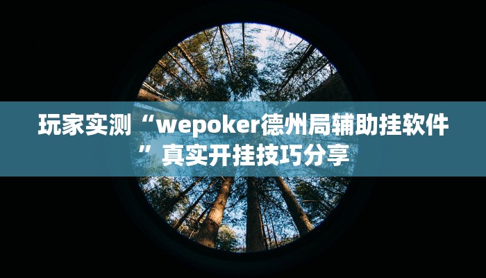 玩家实测“wepoker德州局辅助挂软件”真实开挂技巧分享