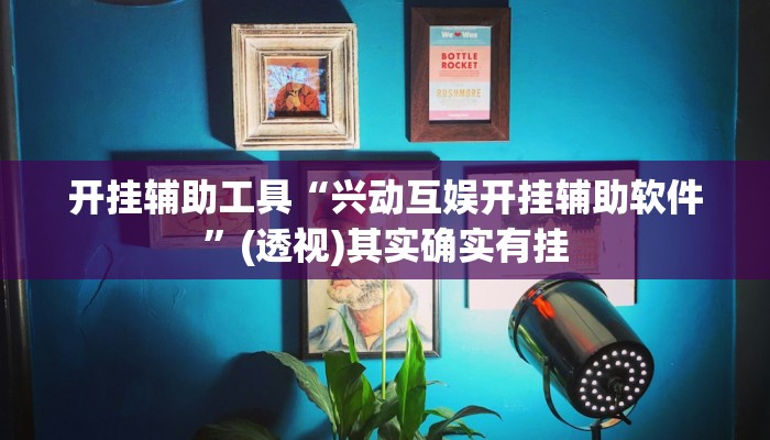 开挂辅助工具“兴动互娱开挂辅助软件”(透视)其实确实有挂 开挂辅助工具“兴动互娱开挂辅助软件”(透视)其实确实有挂