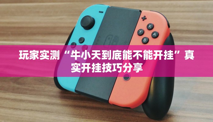 玩家实测“牛小天到底能不能开挂”真实开挂技巧分享 玩家实测“牛小天到底能不能开挂”真实开挂技巧分享