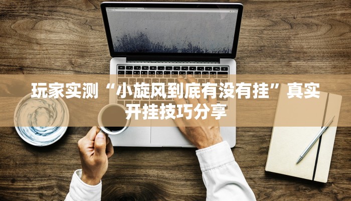 玩家实测“小旋风到底有没有挂”真实开挂技巧分享