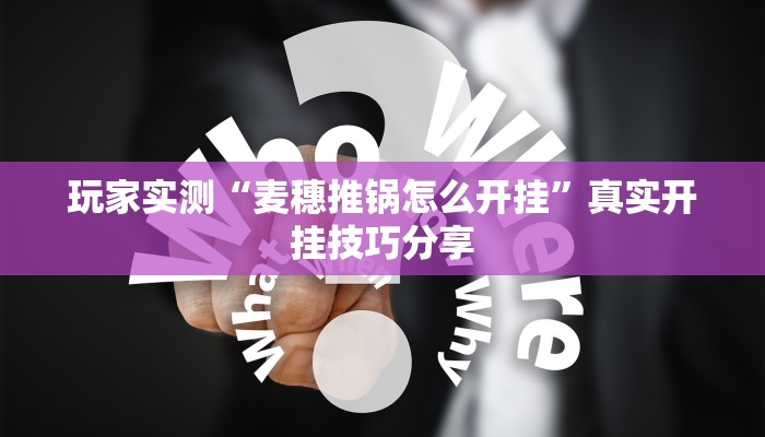 玩家实测“麦穗推锅怎么开挂”真实开挂技巧分享