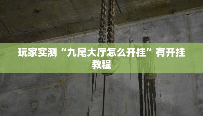 玩家实测“九尾大厅怎么开挂”有开挂教程