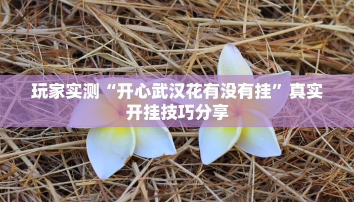 玩家实测“开心武汉花有没有挂”真实开挂技巧分享