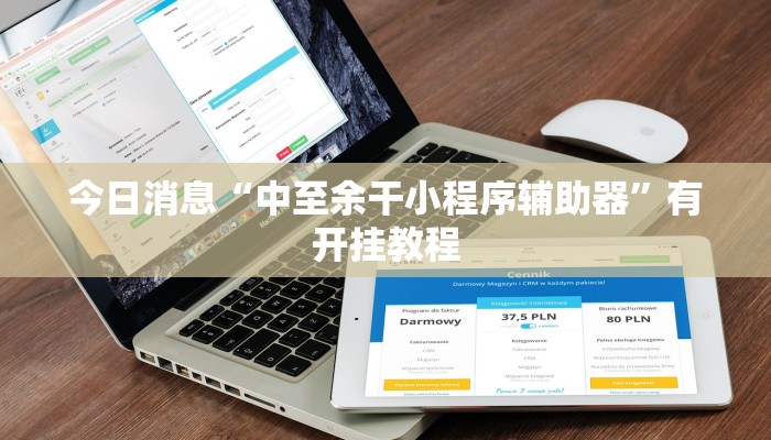 今日消息“中至余干小程序辅助器”有开挂教程