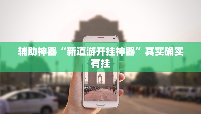 辅助神器“新道游开挂神器”其实确实有挂 辅助神器“新道游开挂神器”其实确实有挂
