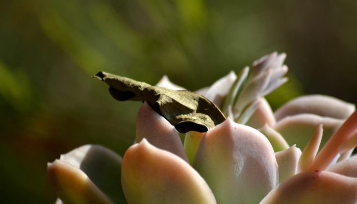 疫情最新早安问候 疫情最新早安问候