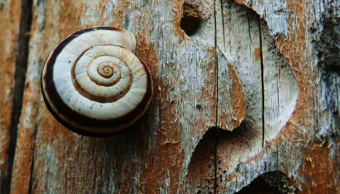 彭城花园疫情最新消息:重磅揭秘,为您提供全面、详细的最新动态 彭城花园疫情最新消息:重磅揭秘,为您提供全面、详细的最新动态